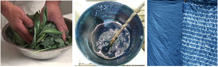 Photos: Michel Garcia, http://growingcolour.blogspot.com/, http://inleaf.blogspot.com