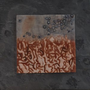 "Lithostratigraphic 1" by Deb Taylor- 2014 Cotton, dye, Inktense pencils, textile medium, Plexiglas, slate 