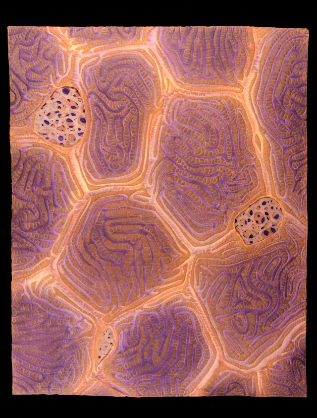 Stehr Fish Skin 2sml