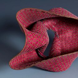 Displacement by Dorothy McGuinness