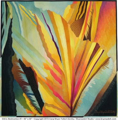 Bryer-Fallert_CitricAbstraction1_full_web