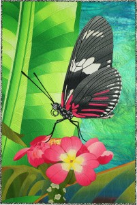 caryl-falllert-gentry-Lepidopteran4_26k