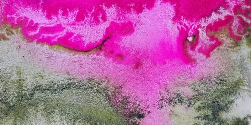 13-Golden Lecture by Barbara De Pirro