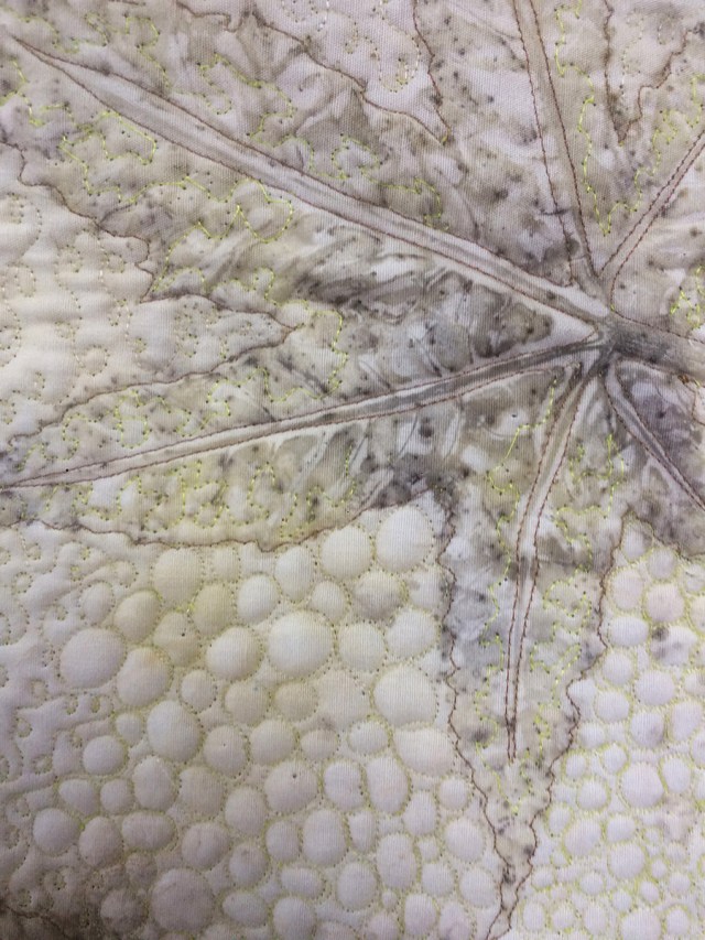 10.Carol Flecher micro